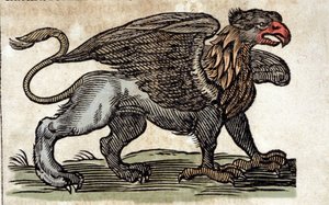 Representação de um grifo, criatura fantástica meio águia meio leão. Gravura de uma obra de Athanasius Kircher (1601 - 1680), jesuíta, orientalista e erudito. de Unknown artist