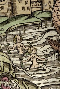 Representação das sirenes. Gravura do século XVI de Unknown artist