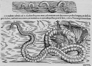 Cobra marinha, criatura marinha depois de Conrad (= Konrad) Gesner de Unknown artist