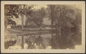 [Lagoa de Silverspring] de Unknown artist