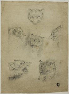 Seis esboços de cabeças de lobo de Unknown artist
