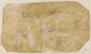 Seis grupos de animais de luta de Unknown artist