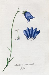  de Unknown artist