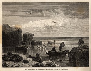 Pesca de esponja pelos ilhéus da ilha de Anastasia, uma maree baixa, mulheres e crianças se juntam entre as rochas e os homens embarcam em canoas para mergulhar e recuperá-las no fundo do mar. Gravura para ilustrar a história de quatro meses na Flórida, po de Unknown artist