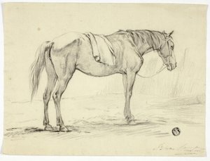 Cavalo de pé de Unknown artist