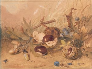 Natureza Morta com Bolotas e Castanhas de Cavalo de Unknown artist