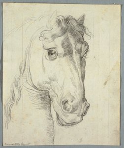 Estudo de um cavalo de Unknown artist