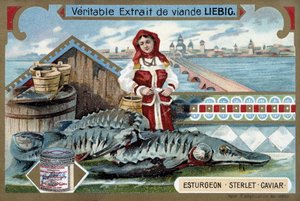 Esturjão, esterete, caviar, com uma jovem mulher segurando baldes, em frente a uma cidade russa - Liebig chromolithography de Unknown artist