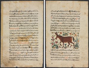 Página de Texto, Prosa Persa (Reto); Khar (Ass) (Verso) de Unknown artist