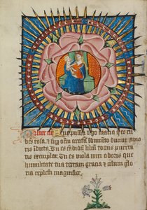 A Virgem e o Menino numa rosa cor-de-rosa com um lírio branco de Unknown artist