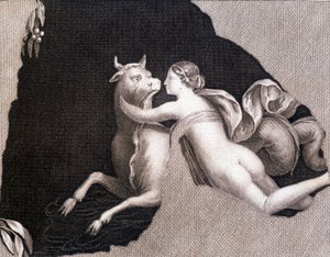 O sequestro da Europa - gravura de Unknown artist
