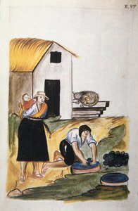O tingimento da lã, do livro "Trujillo del Peru" ou "Códice Martínez Compañón", de Baltazar Martinez Compañón y Bujanda, bispo de Trujillo (1782-1785) de Unknown artist