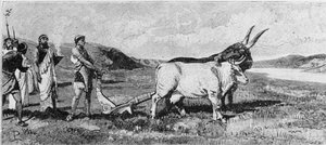 A fundação de Roma. A gravura do século XIX. de Unknown artist