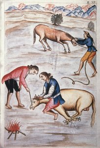 A marca do ferro vermelho de uma égua, do livro "Trujillo del Peru" ou "Códice Martínez Compañón", de Baltazar Martinez Compañón y Bujanda, bispo de Trujillo (1782-1785) de Unknown artist