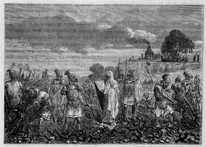 As vinhas arrancadas na Gália, por ordem do Imperador Domiciano - em "As maravilhas da indústria" de Louis Figuier, Paris de Unknown artist