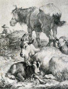 Cavalo de tração, cabra, cabra e carneiro - gravura de Unknown artist