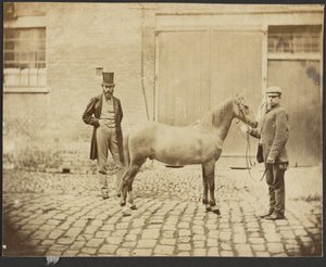 [Dois homens e um cavalo]. de Unknown artist