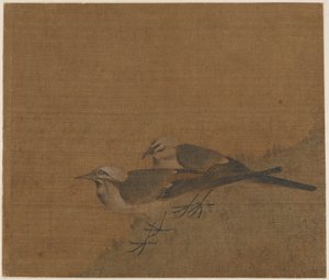 Duas alvéolas malhadas de Unknown artist