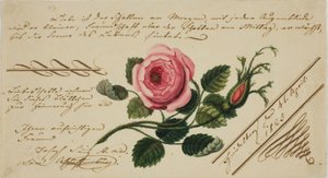 Valentim sem título (flor rosa) de Unknown artist