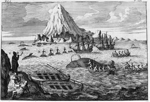 Baleeira ao largo da ilha de Jan Mayen. Gravação no início do século XVIII de Unknown artist