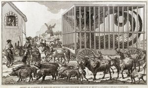 Zoomorfismo - Caricatura contra Maria - Antoinette - Partiu da Harpia ou monstro anfíbio de Cádiz para ser levado ao rei e à família real de Espanha: Este animal foi levado para as margens do Lago Fagua - 1784 - de Unknown artist