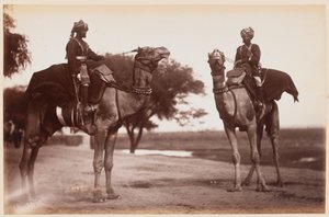Camel Sowars no Campo de Exercício de Delhi de Unknown photographer
