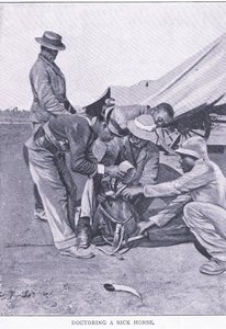 Doutoramento de um cavalo doente, de After Pretoria: The Guerilla War publicado pela Harmsworth Bros Limited de Unknown photographer