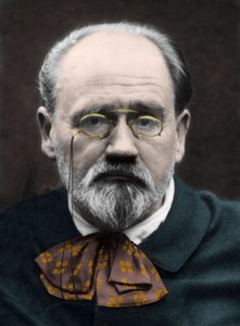 Retrato de Emile Zola 1890s. de Unknown photographer