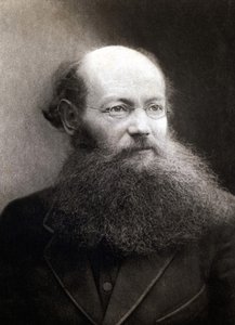 Retrato do Príncipe Pedro (Piotr) Alekseyevich Kropotkin (1842-1921), revolucionário e anarquista russo. de Unknown photographer