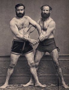 Retrato dos irmãos de Marselha no wrestler. Fotografia, final do século XIX, Paris. Coll. Selva. de Unknown photographer