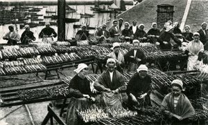 Indústria da sardinha, Finistère, Bretanha (fotografia a preto e branco) de Unknown photographer