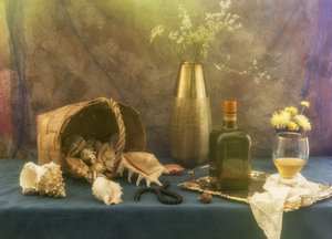 Natureza morta vintage com conchas