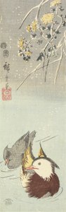 (Crisântemo e mandarim patos), fevereiro de 1854