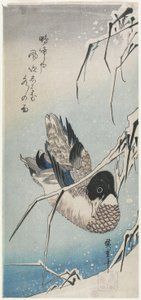 (Pato e juncos nevados), início dos anos 1830