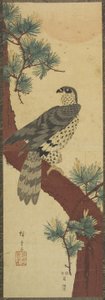 (Hawk on Pine Branch, Summer), setembro de 1853