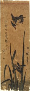 (Iris e Kingfisher), 1830-1858