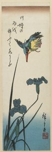 (Iris e Kingfisher), 1843-1847