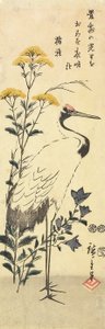 (Patrinia, chinês Bellflower e um guindaste), março de 1853