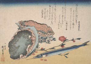 Abalone, meio bico e flor de pêssego