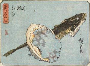 Abalone e Flathead, 1830-1844