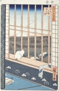 Campos de Arroz de Asakusa e Festival de Torinomachi da Série Cem Vistas Famosas de Edo, 1857 (impressão em xilogravura a cores)