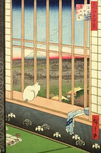 Asakusa Rice Fields durante o festival do galo da série &39;100 vistas de Edo&39;, pub. 1857 (impressão em xilogravura a cores)