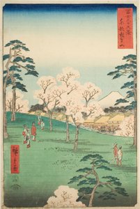 Asuka Hill na Capital Oriental (Toto Asukayama), da série "Trinta e seis vistas do Monte Fuji (Fuji sanjurokkei)" de Utagawa Hiroshige