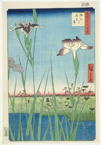 BM.Cat. 440 Irises at Horikin, nº 56 na série &39;100 Vistas de Edo&39;, (&39;Meisho Edo hyakkei&39;), pub 1857, (impressão em xilogravura a cores)
