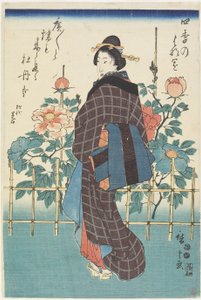 Beleza em Peony Garden, 1847-1852