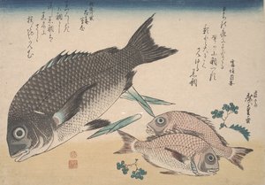 Brema do Mar Negro, Sargo Pequeno, Brotos de Espargos e Pimenta Sansho, c.1830