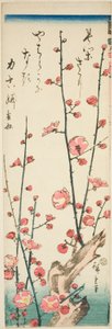 Ramos de ameixa florescendo de Utagawa Hiroshige