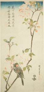 Bullfinch no ramo de aronia de Utagawa Hiroshige