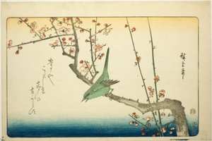 Toutinegra de Bush no ramo de ameixa de Utagawa Hiroshige