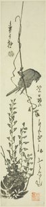 Canário e glicínias de Utagawa Hiroshige
